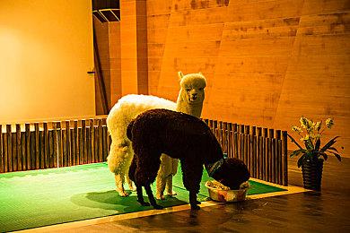 《最后的生还者》多人游戏总监：游戏仍在开发中